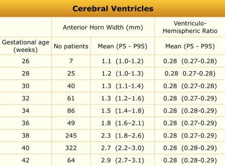 left ventricular diameter chart.